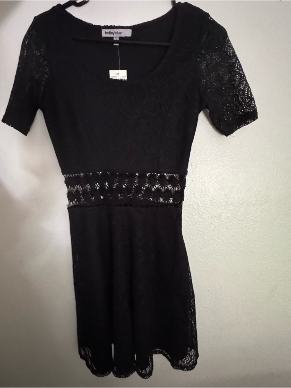 bailey blue Black Lace Mini Dress